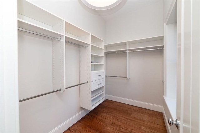 walk in closet featuring dark wood finished floors