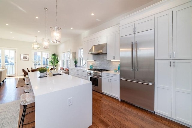 kitchen with dark wood finished floors, high end appliances, backsplash, a sink, and under cabinet range hood