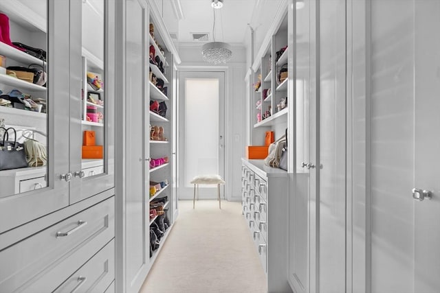 68 W Rutland Sq, Boston, MA 02118 - walk in closet with light carpet