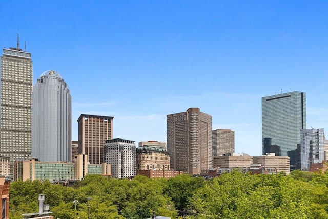 68 W Rutland Sq, Boston, MA 02118 - view of city skyline