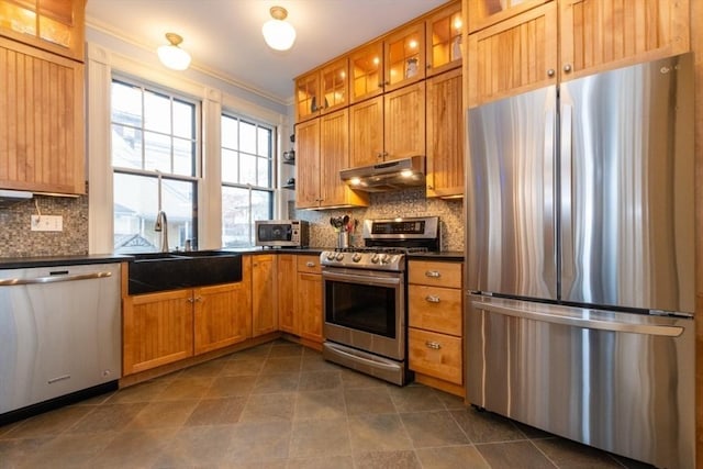 kitchen featuring sink, appliances with stainless steel finishes, crown molding, and tasteful backsplash