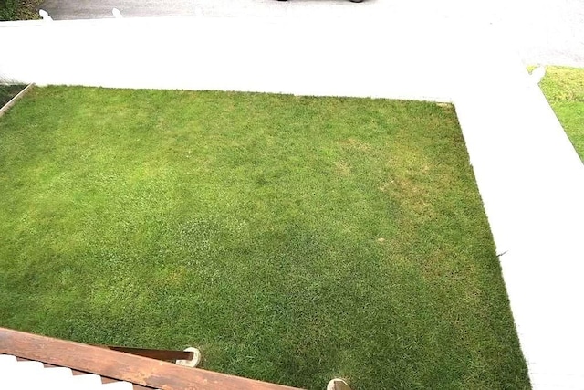 167 Orient St, Worcester, MA 01604 - view of green lawn