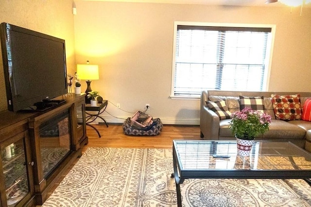 167 Orient St, Worcester, MA 01604 - living room with wood finished floors and healthy amount of natural light