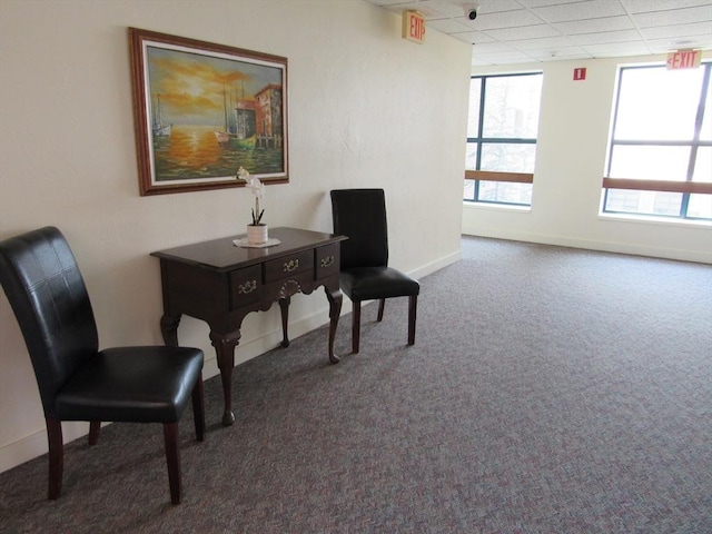 50 S Common St Unit 311, Lynn, MA 01902 - living area with carpet floors, baseboards, and a drop ceiling