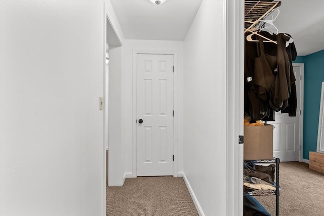 39 Taylor St Unit 39, Haverhill, MA 01830 - hall with carpet floors and baseboards
