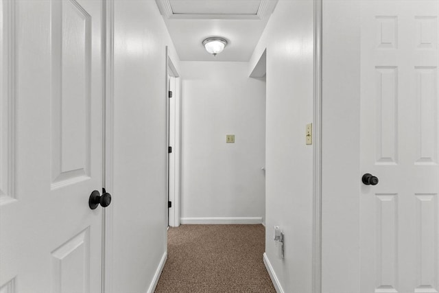 39 Taylor St Unit 39, Haverhill, MA 01830 - hall with carpet flooring and baseboards