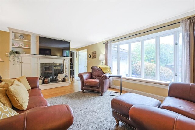 living room featuring a glass covered fireplace and wood finished floors