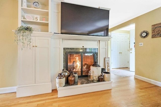 room details featuring a premium fireplace, baseboards, and wood finished floors
