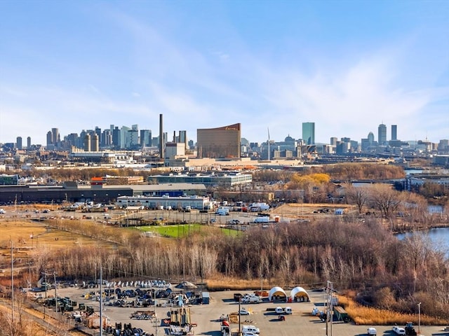 property's view of city