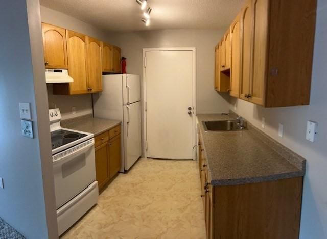 14 Village Way Unit 23, Natick, MA 01760 - kitchen featuring white appliances, a sink, extractor fan, light flooring, and dark countertops