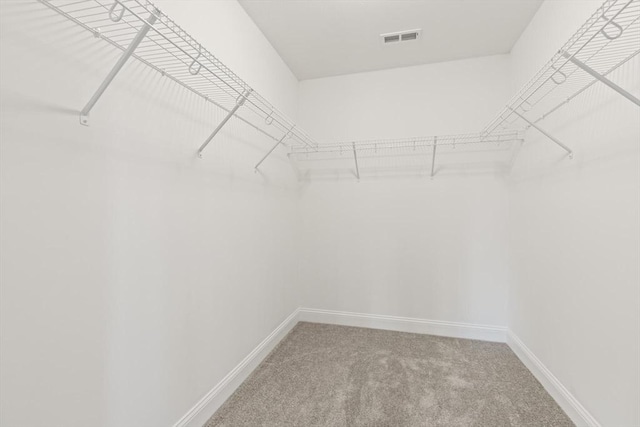 walk in closet featuring visible vents and carpet floors