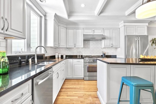 49 Baldwin St Unit 1, Boston, MA 02129 - kitchen with appliances with stainless steel finishes, a sink, under cabinet range hood, light wood-style floors, and backsplash