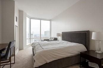 carpeted bedroom with expansive windows