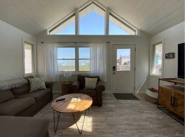 living room with hardwood / wood-style floors, plenty of natural light, and high vaulted ceiling