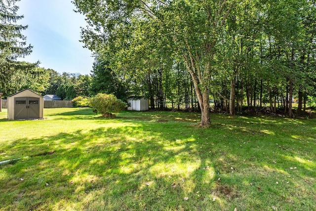 view of yard featuring a storage shed