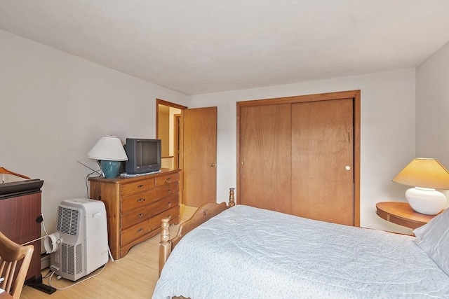 165 Bayberry Hill Ln Unit 165, Leominster, MA 01453 - bedroom featuring light wood finished floors and a closet