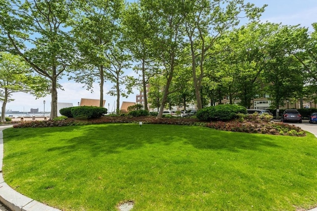 view of grassy yard