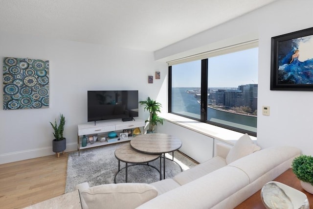 living room featuring wood finished floors and baseboards