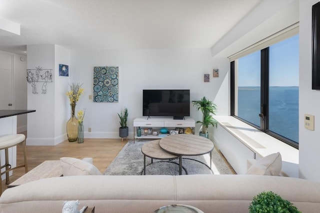 living room with baseboards and wood finished floors