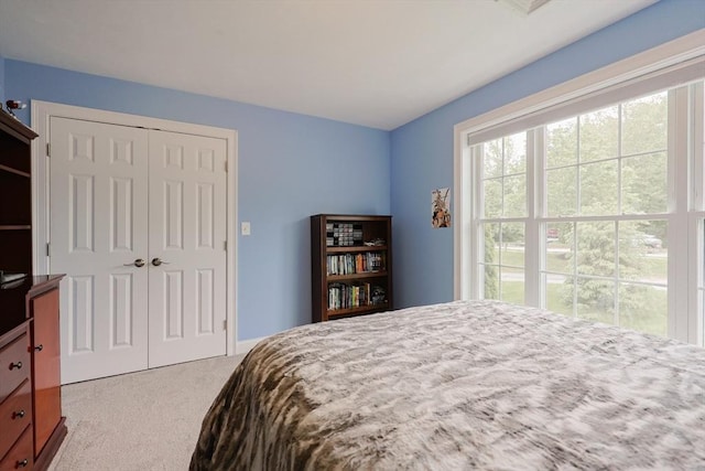 37 Sandy Ridge Rd, Sterling, MA 01564 - bedroom with carpet floors and a closet