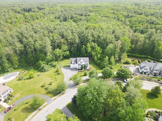 37 Sandy Ridge Rd, Sterling, MA 01564 - bird's eye view of a heavily wooded area