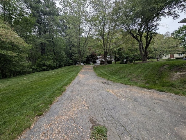 17 Laurel Dr, Millbury, MA 01527 - view of road
