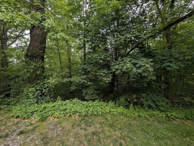 17 Laurel Dr, Millbury, MA 01527 - view of woods