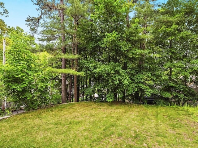 14 Riverside Dr, North Reading, MA 01864 - view of green lawn