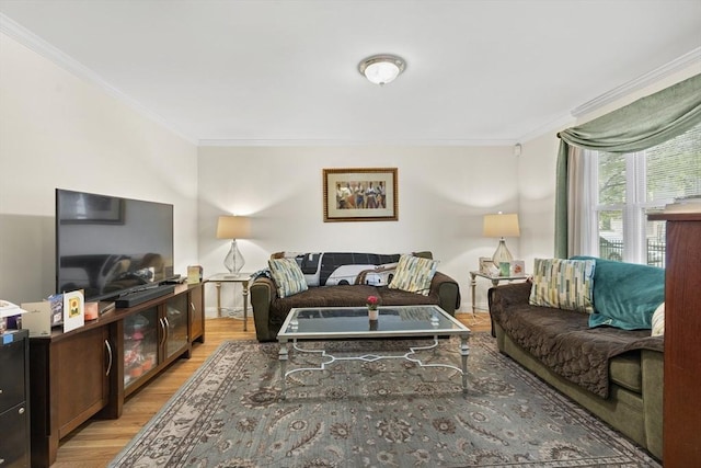 2826 Washington St, Boston, MA 02119 - living area with crown molding, light wood-style flooring, and baseboards