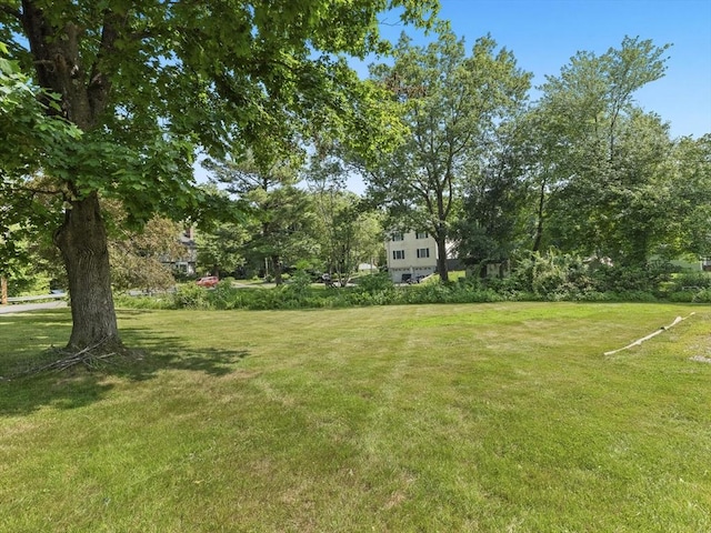 20 Dunshire Dr, Chelmsford, MA 01863 - view of green lawn