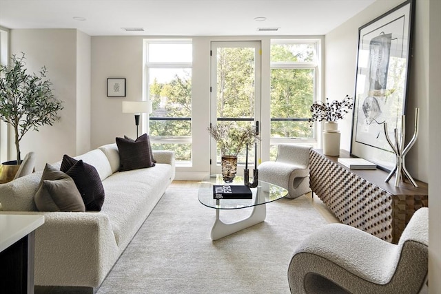 20 Kinmonth Rd Unit 306, Newton, MA 02468 - living room featuring healthy amount of natural light