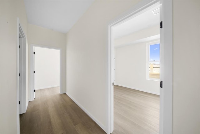 546 Saratoga Unit 1, Boston, MA 02128 - corridor featuring wood finished floors and baseboards