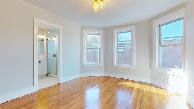 unfurnished room featuring crown molding and light hardwood / wood-style floors