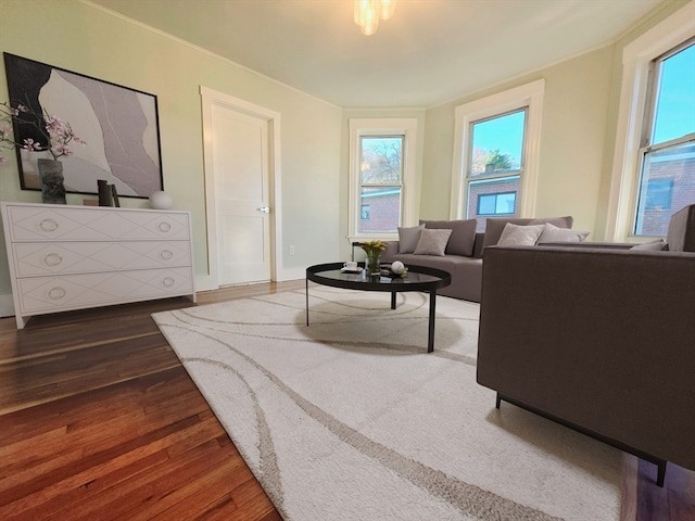 living room with a healthy amount of sunlight and dark hardwood / wood-style flooring