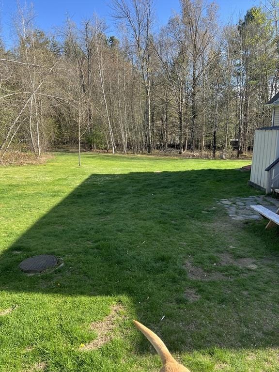 106 Shaw Rd, Goshen, MA 01330 - view of green lawn
