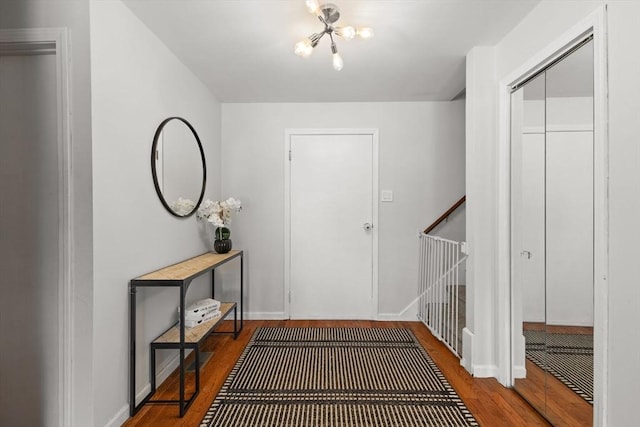 entrance foyer with wood-type flooring