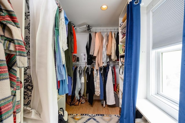 walk in closet featuring wood finished floors