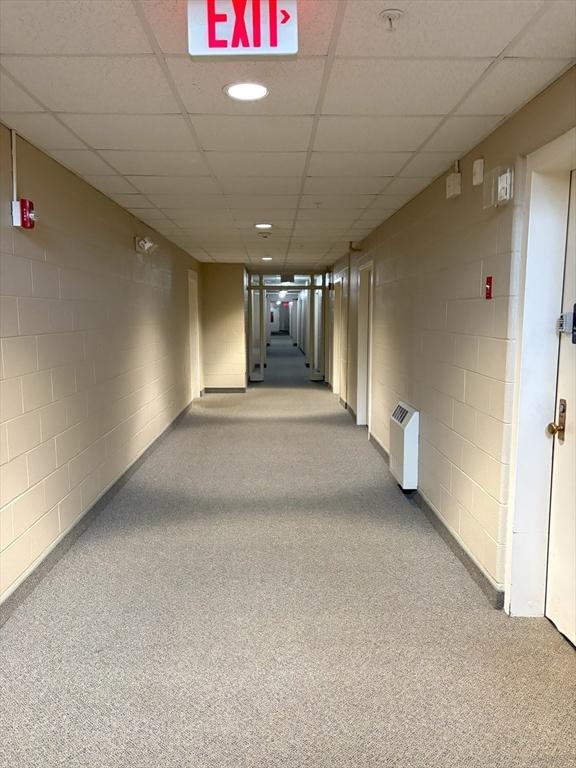 48 Phillips Rd Unit 17, Holden, MA 01520 - hall featuring carpet, concrete block wall, and a paneled ceiling