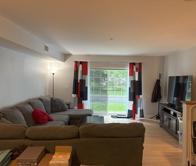 48 Phillips Rd Unit 17, Holden, MA 01520 - living room featuring light wood-style flooring