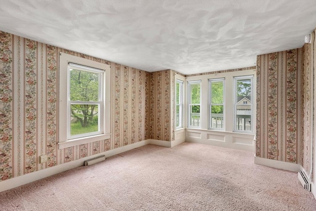 1123 E St, Ludlow, MA 01056 - unfurnished room with carpet floors