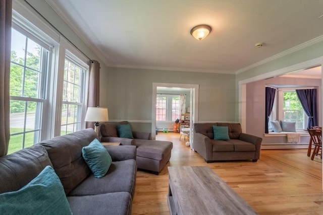 1349 Main St, Holden, MA 01520 - living room featuring crown molding, light wood-style flooring, and a baseboard radiator