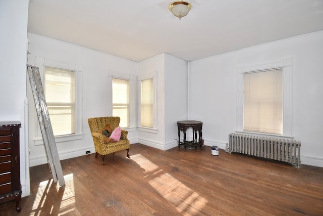 sitting room featuring radiator heating unit and dark hardwood / wood-style flooring