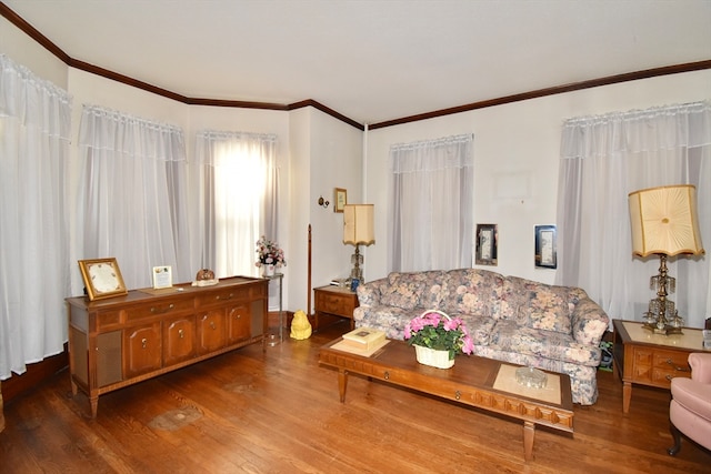 living room featuring wood-type flooring and ornamental molding