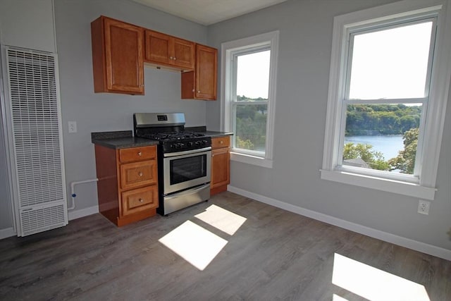 kitchen with baseboards, stainless steel range with gas cooktop, a heating unit, and plenty of natural light