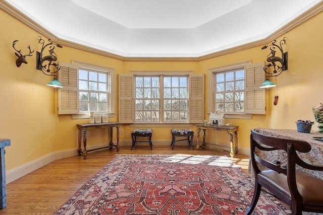 living area with a tray ceiling, baseboards, and wood finished floors