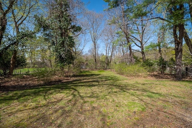 view of grassy yard