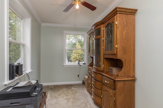 carpeted office space with ornamental molding and ceiling fan