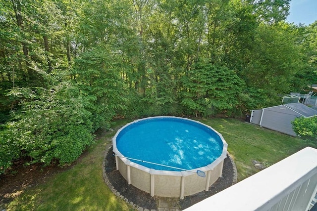 47 Pheasant Hill Rd, Weymouth, MA 02190 - swimming pool with a yard and a shed