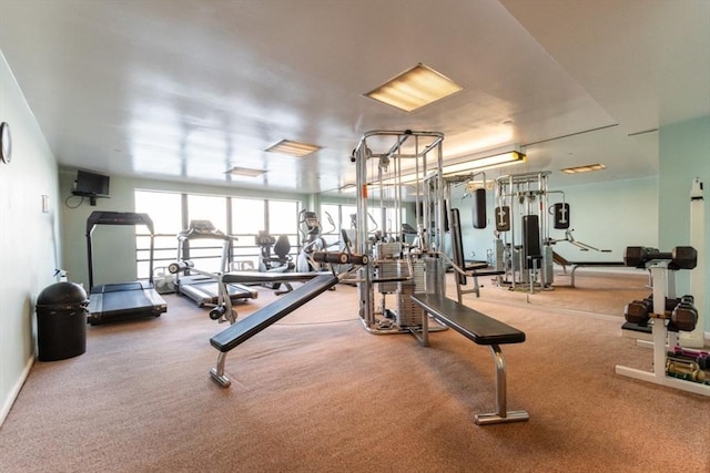 workout area with carpet