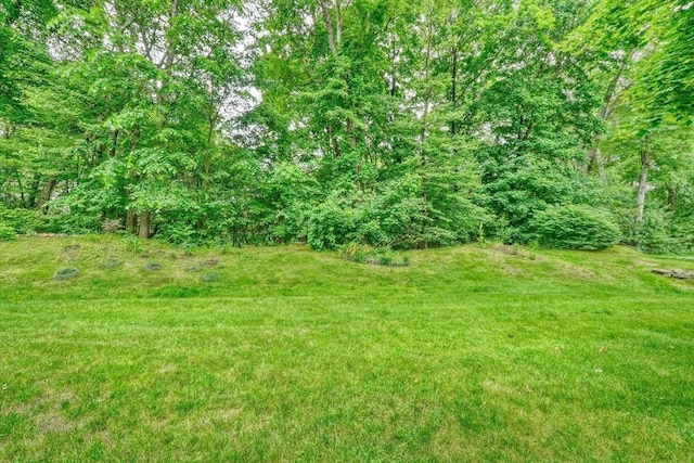 47 Key St Unit 47, Millis, MA 02054 - view of grassy yard